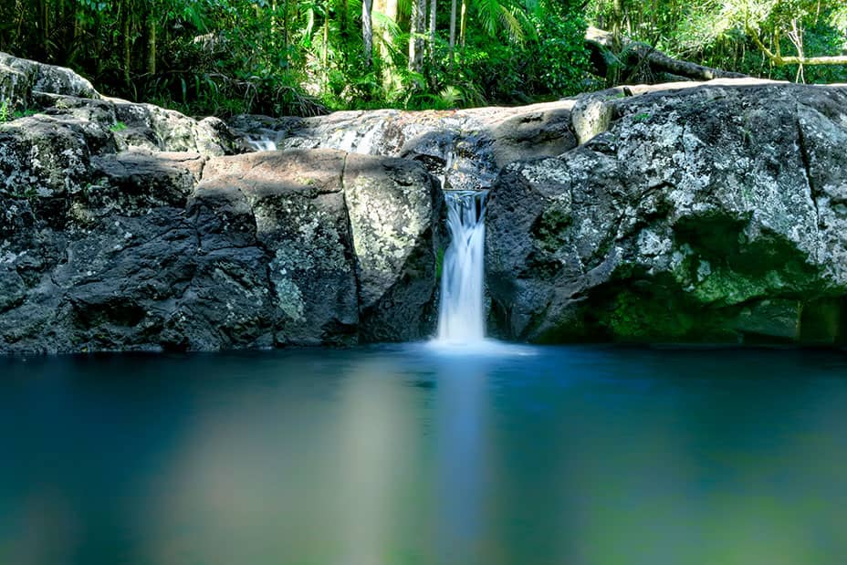 Warringa Pool at Springbrook National Park