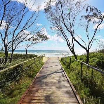 Wooden boardwalk access to Gold Coast beach, surrounded by trees and vegetation on either side